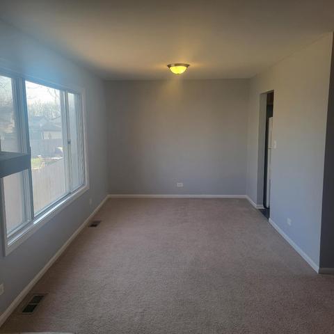 217 Pheasant Rd, Matteson, IL 60443 photo 5