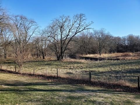 1209 E 3rd St, Prophetstown, IL 61277 photo 15
