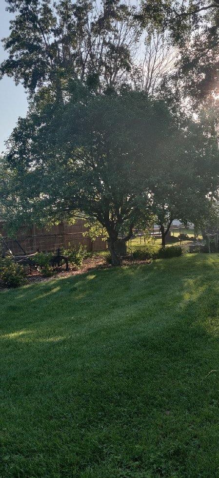 167 S 4080w Rd, Kankakee, IL 60901 photo 32