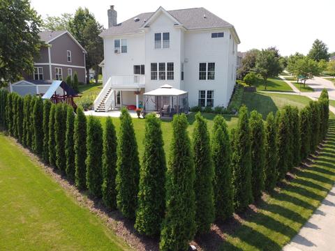 1600 Barrington Ct, Algonquin, IL 60102 photo 29