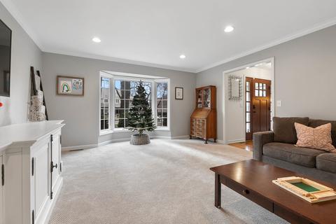 675 E Gartner Rd, Naperville, IL 60540 photo 7