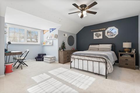 675 E Gartner Rd, Naperville, IL 60540 photo 25