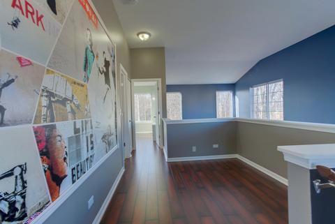 9 Shade Tree Ct, Algonquin, IL 60102 photo 11