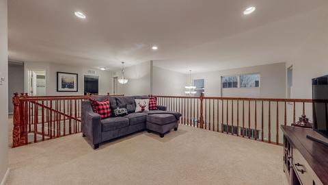 13530 Meadow Ln, Plainfield, IL 60544 photo 22