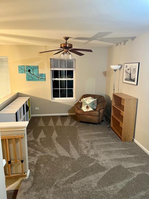 3145 Primrose St, Elgin, IL 60124 photo 7