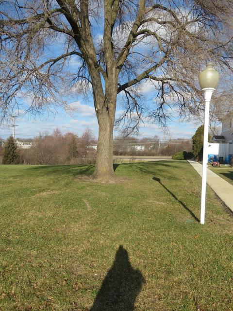 1682 Cornell Dr #25B, Hoffman Estates, IL 60169 photo 28