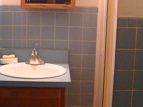 9245 S Normal Ave, Chicago, IL 60620 photo 8