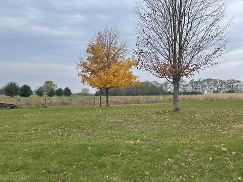 6819 S Solon Rd, Mchenry, IL 60050 photo 13