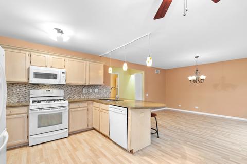 425 Summersweet Ln, Bartlett, IL 60103 photo 9