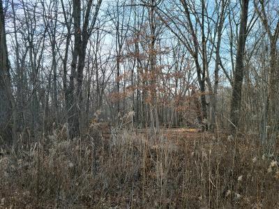 4242 Foxborough Ct, Kankakee, IL 60901 photo 3