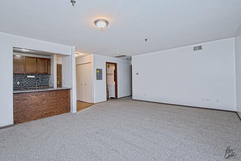 3265 Kirchoff Rd #320, Rolling Meadows, IL 60008 photo 7