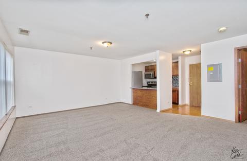 3265 Kirchoff Rd #320, Rolling Meadows, IL 60008 photo 6