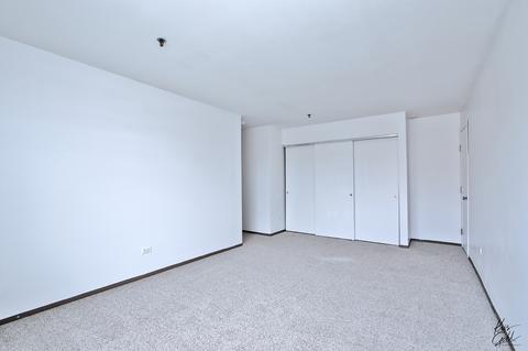 3265 Kirchoff Rd #320, Rolling Meadows, IL 60008 photo 13