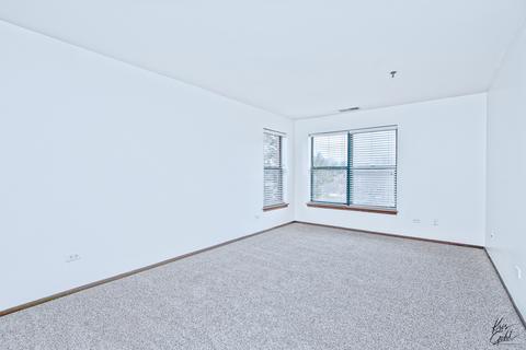 3265 Kirchoff Rd #320, Rolling Meadows, IL 60008 photo 11