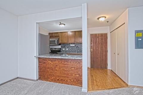 3265 Kirchoff Rd #320, Rolling Meadows, IL 60008 photo 8