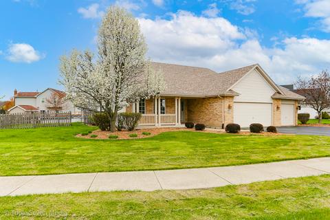 20012 Arbor Ln, Mokena, IL 60448 photo 4