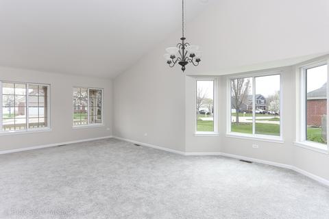 20012 Arbor Ln, Mokena, IL 60448 photo 13