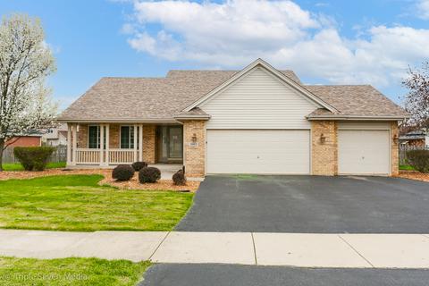 20012 Arbor Ln, Mokena, IL 60448 photo 1
