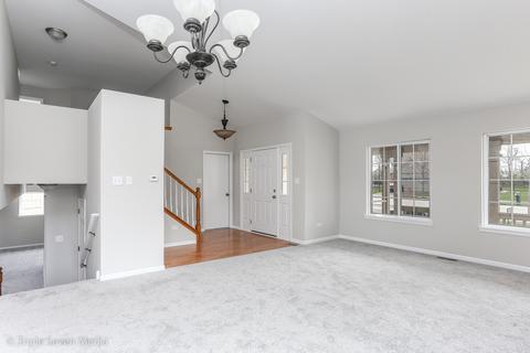 20012 Arbor Ln, Mokena, IL 60448 photo 11