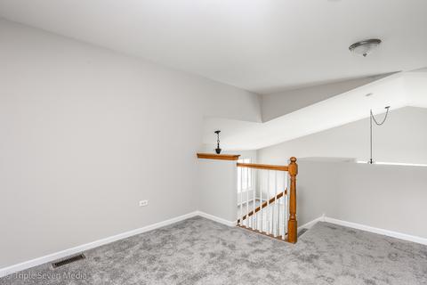 20012 Arbor Ln, Mokena, IL 60448 photo 19