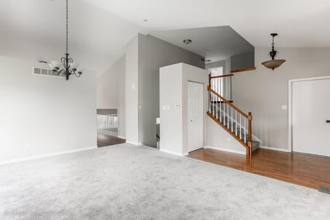 20012 Arbor Ln, Mokena, IL 60448 photo 12