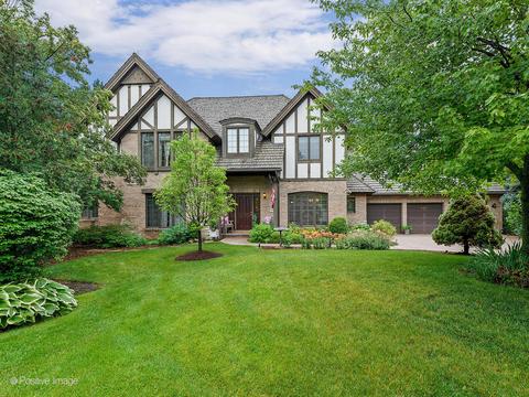 506 Kenmare Dr, Burr Ridge, IL 60527 photo 1
