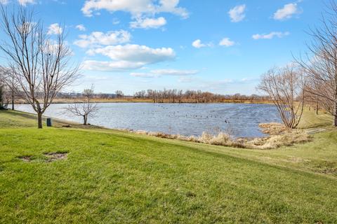 14006 Meadow Ln, Plainfield, IL 60544 photo 27