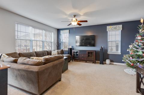 14006 Meadow Ln, Plainfield, IL 60544 photo 10