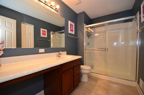 14006 Meadow Ln, Plainfield, IL 60544 photo 23