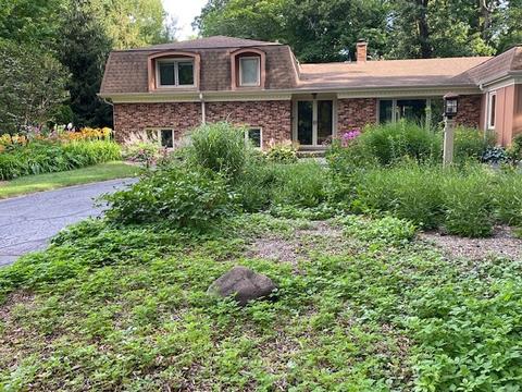 39 Forest Ave, Roselle, IL 60172 photo 39