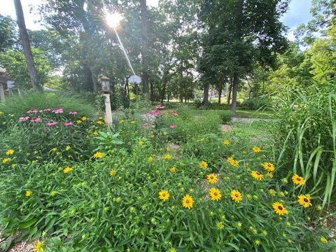 39 Forest Ave, Roselle, IL 60172 photo 38
