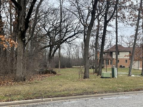 328 Royal Oak Dr, Steger, IL 60475 photo 1