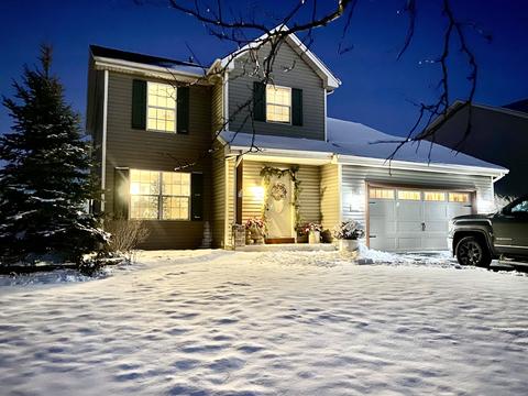 25621 S Violet Ln, Monee, IL 60449 photo 1