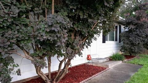 910 S Mattis Ave, Champaign, IL 61821 photo 52