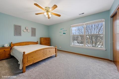 10 Walbridge Ct, Algonquin, IL 60102 photo 15