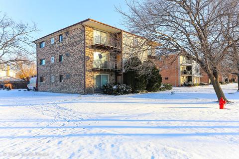 8001 Beloit Ave #3B, Bridgeview, IL 60455 photo 20