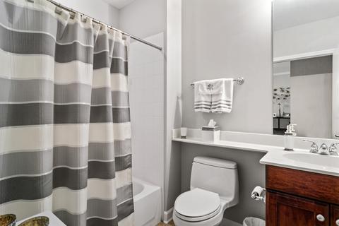 233 E 13th St #1002, Chicago, IL 60605 photo 13