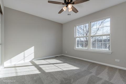 6803 Bazz Dr, Plainfield, IL 60586 photo 13