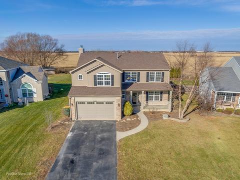 6803 Bazz Dr, Plainfield, IL 60586 photo 29