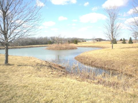 505 E Corning Rd, Beecher, IL 60401 photo 7