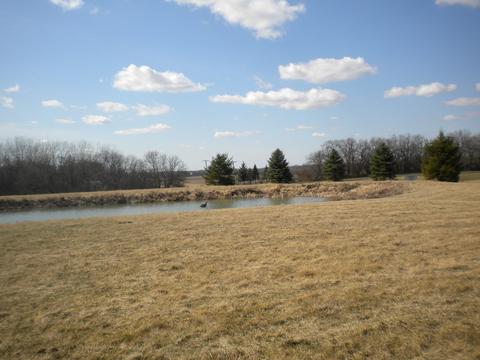 505 E Corning Rd, Beecher, IL 60401 photo 42