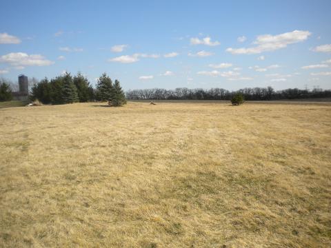 505 E Corning Rd, Beecher, IL 60401 photo 40