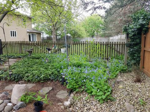 1509 Adam Dr, Normal, IL 61761 photo 47