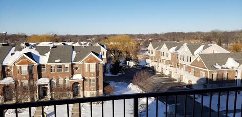 511 Prestwick Ln #501, Wheeling, IL 60090 photo 20