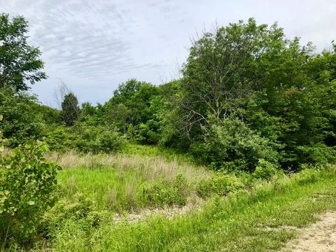 2845 E 2525th Rd, Marseilles, IL 61341 photo 6