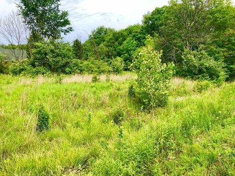 2845 E 2525th Rd, Marseilles, IL 61341 photo 5