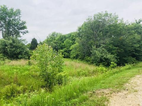 2845 E 2525th Rd, Marseilles, IL 61341 photo 3