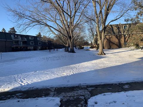 264 E Bailey Rd #C, Naperville, IL 60565 photo 24
