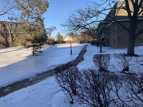 264 E Bailey Rd #C, Naperville, IL 60565 photo 25