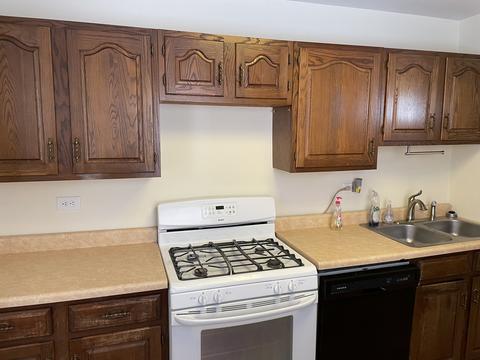 3958 E 112th St, Chicago, IL 60617 photo 12